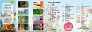 billede af sommerfolderen